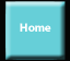 Home Button