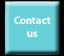 Contact Us Button